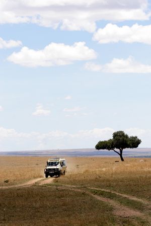 Safari Vehicle in Masai Mara  Kenya